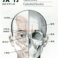 11、gall   baldder 膽經經脈 相片