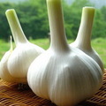 1/garlic