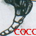  109/coccyx-2b