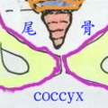 110/coccyx-3