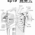 50/sp_19b胸鄉