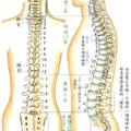 197/spine