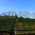 新年上山南山寺 - 25