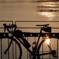 晨光自行車到林口 - 16