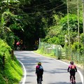 獅頭山遇見春光綠意 - 17