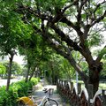 竹北東區單車小旅行