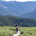 2013/07合歡尖山&合歡東峰