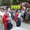 東京淺草寺三社白鷺鸶祭
