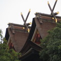 岡山桃太郎與吉備津神社