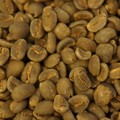 各式精品咖啡豆