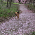 2012/02/22(三)武陵農場