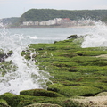 2012/5/1(一)石門老梅社區海岸綠石槽