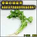 香菜已被證實為最好及天然的清洗腎臟治療用料