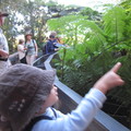 2011雪梨動物園