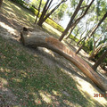 2010南澳