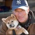 我最喜愛的男星Richard Gere和最愛的動物/狗