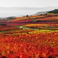 Rioja, Spain