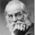 美國民族詩人Walt Whitman