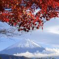 東京富士山