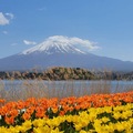 東京富士山