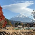 東京富士山