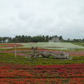 2012東海岸知性之旅