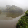 春花煙雨-大屯山