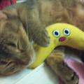 睡覺抱香蕉