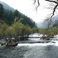 階梯式的流瀑，隔出道道的白絹，無型的青叢，擺出多樣的盆景，九寨溝的盆景灘，麗而亂。