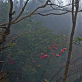 四川峨嵋山