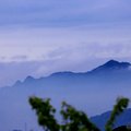 介紹陽明山東昇路枝風景