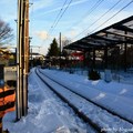 [日本] 冬遊東京／富士急樂園 麗莎和卡斯柏小鎮 - 1