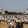 台北1600貓熊世界之旅@中正紀念堂