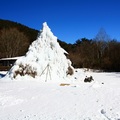[日本] 冬遊東京／野鳥公園 樹冰 - 2