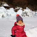 [日本] 冬遊東京／野鳥公園 樹冰 - 17