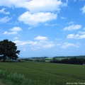 夏日北海道@美瑛拼布之路