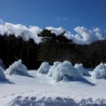 [日本] 冬遊東京／西湖野鳥の森公園 看樹冰不用跑東北藏王@山梨縣 - 26