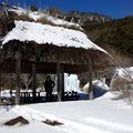 [日本] 冬遊東京／西湖野鳥の森公園 看樹冰不用跑東北藏王@山梨縣 - 30