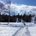 [日本] 冬遊東京／西湖野鳥の森公園 看樹冰不用跑東北藏王@山梨縣 - 37