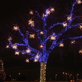 Seasonal Street Light Dec 2012 1