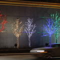 Seasonal Street Light  Dec 2012 2