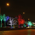 Seasonal Street Light  Dec 2012 6