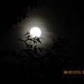 Once in a Strawberry Moon 2015 - 01
