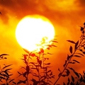 1412-美如藝術的宜蘭鄉間夕陽