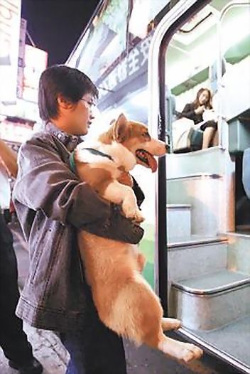 ●帶寵物搭客運要買寵物票，卻不能坐座位，有乘客投訴不合理。聯合報資料照片●