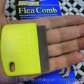 蚤梳Flea Comb》美國Four Paws四爪牌《Made in Taiwan