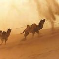 內蒙古自治區阿拉善盟，是大陸沙塵暴主要起源地之一。沙塵暴來襲時，連駱駝都行走困難。（取自網路）