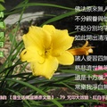 蓮生活佛盧勝彥文章 - 紅白手提袋 文章來源: http://blog.udn.com/lotusjoy/9666075  Photo by Joyce To Tags: 張秀霞 SHC 誹謗 蓮生活佛盧勝彥密密密 清風明月集