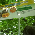屏東植物博覽會