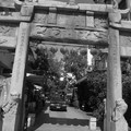 台南孔廟16